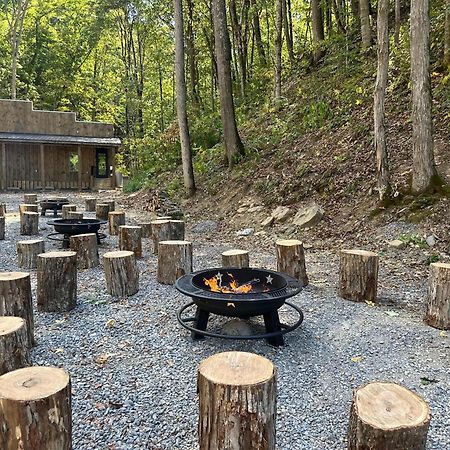 דנדרידג' Cozy Cove Retreat W Lake View Hot Tub Firepit מראה חיצוני תמונה