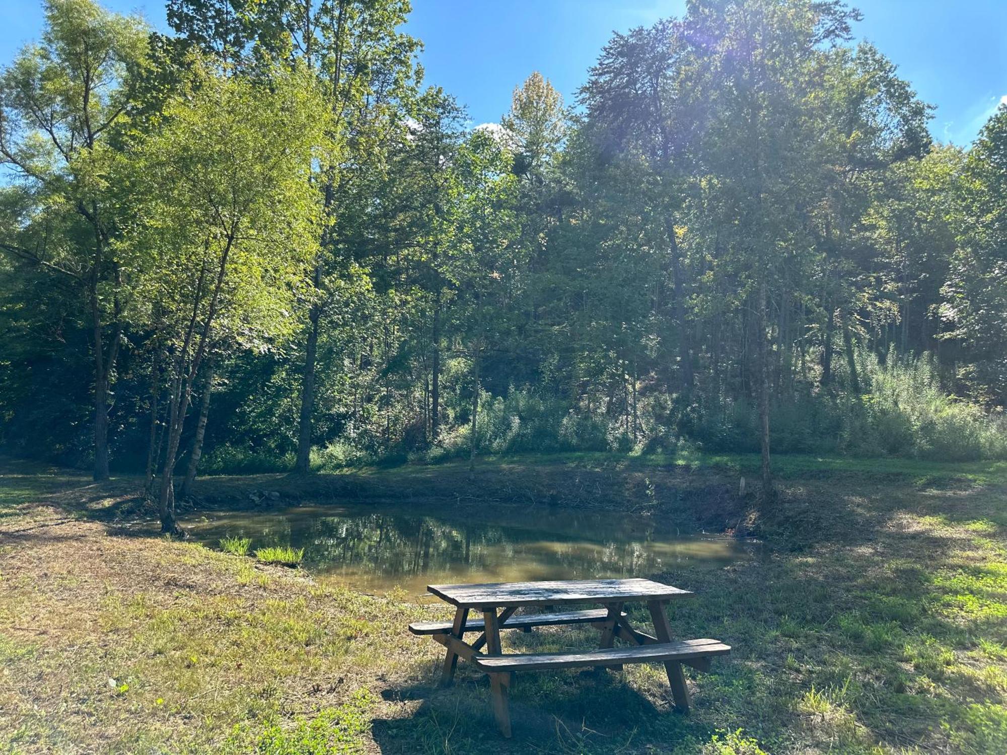דנדרידג' Cozy Cove Retreat W Lake View Hot Tub Firepit מראה חיצוני תמונה